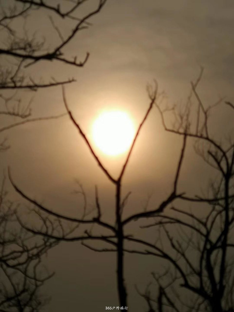 mmexport1552052598910