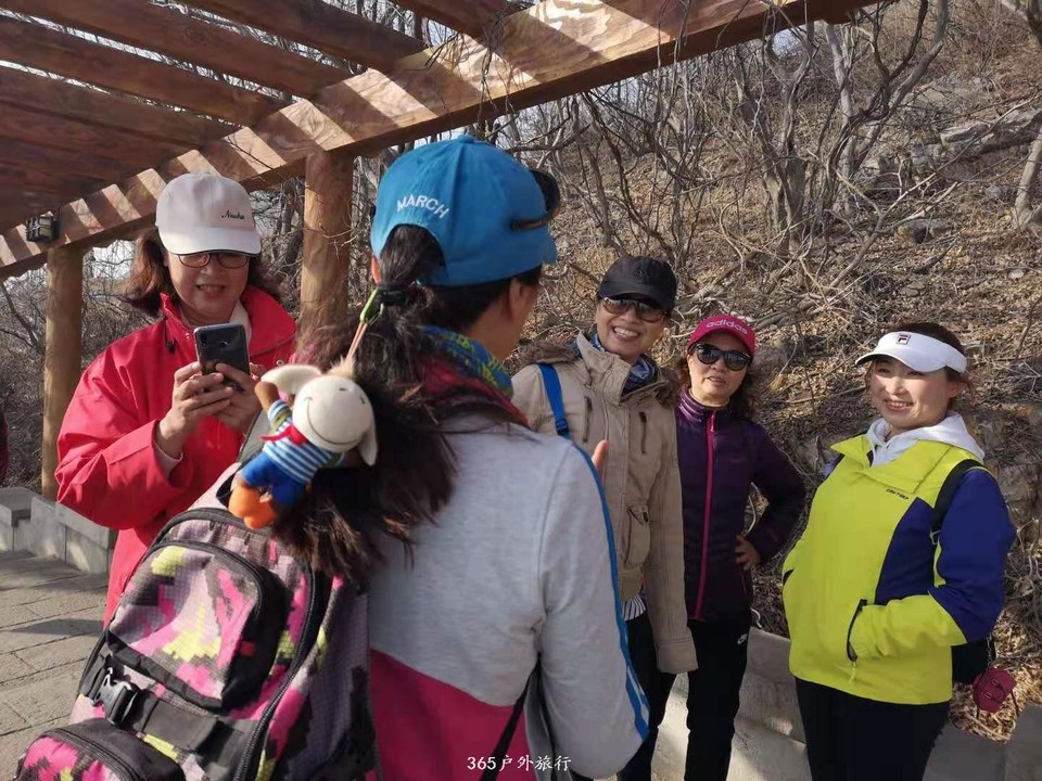 mmexport1552045744445