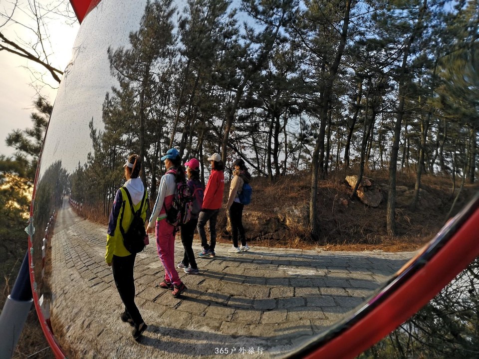 mmexport1552046645558