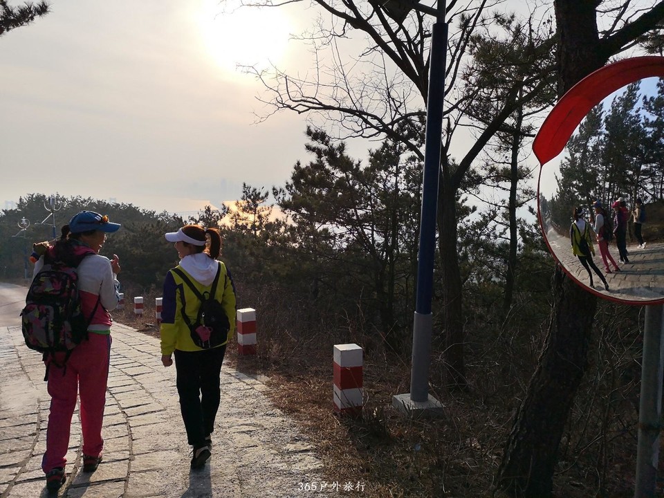 mmexport1552046659982