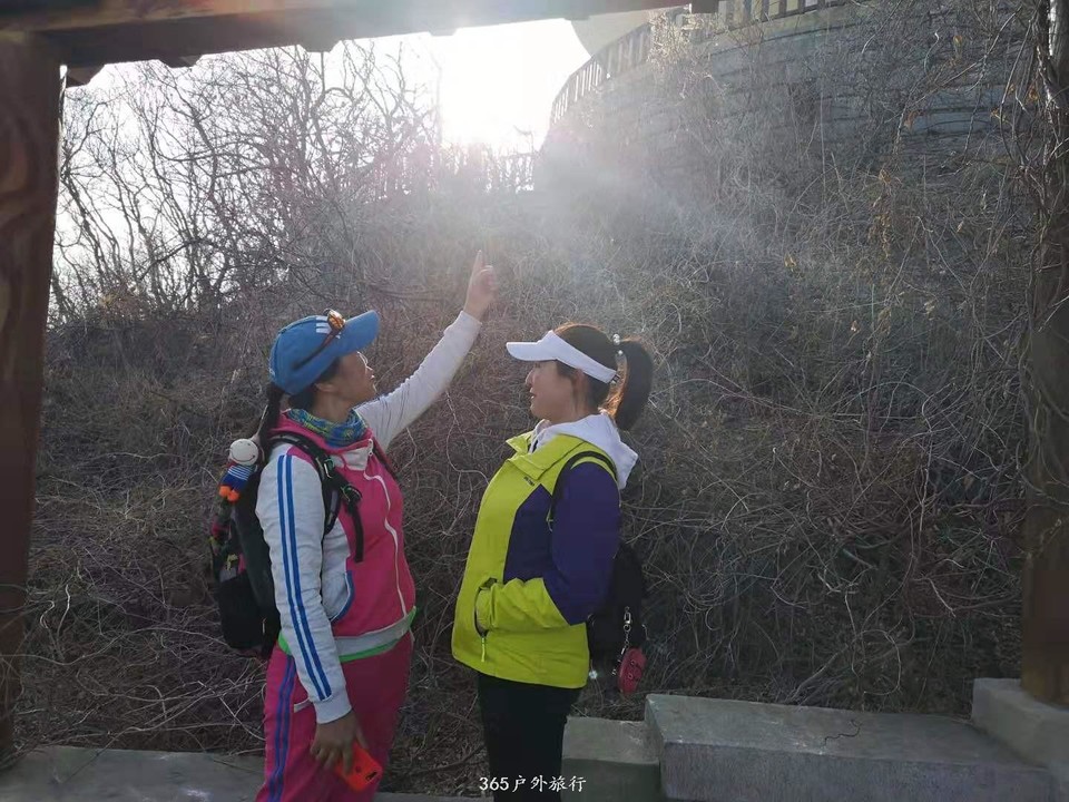 mmexport1552046425821