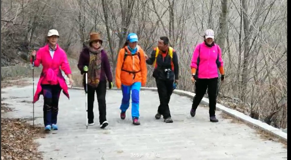 mmexport1552272769108