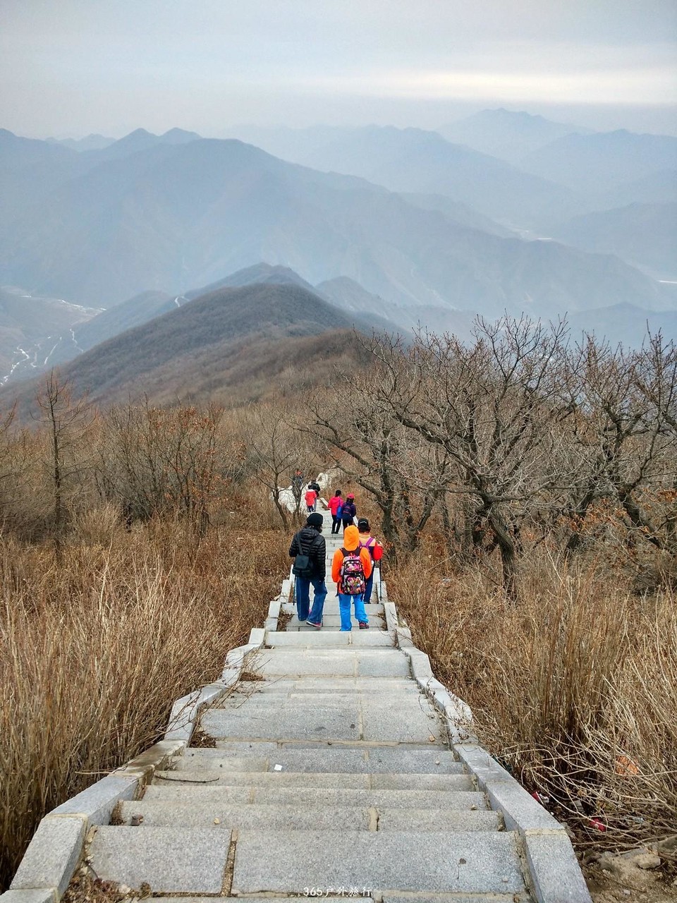 mmexport1552132735087