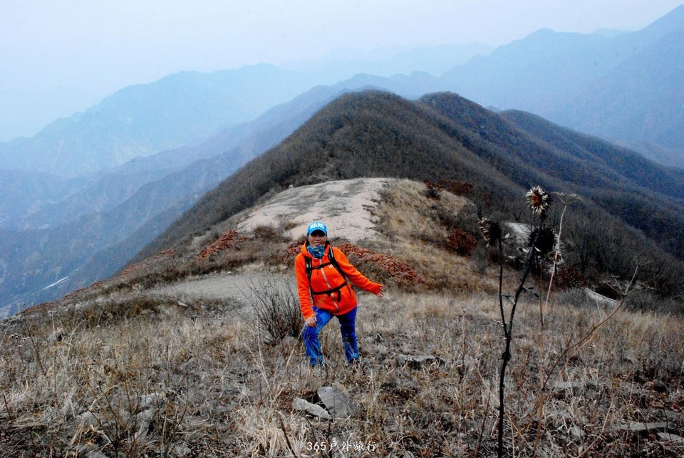 mmexport1552271572519