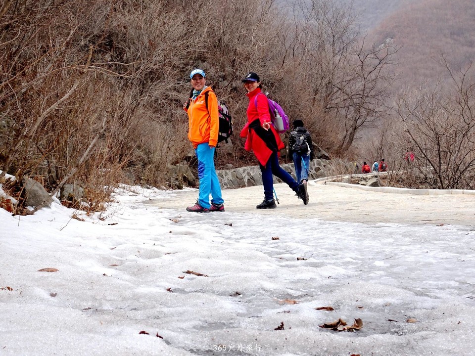 mmexport1552267654559