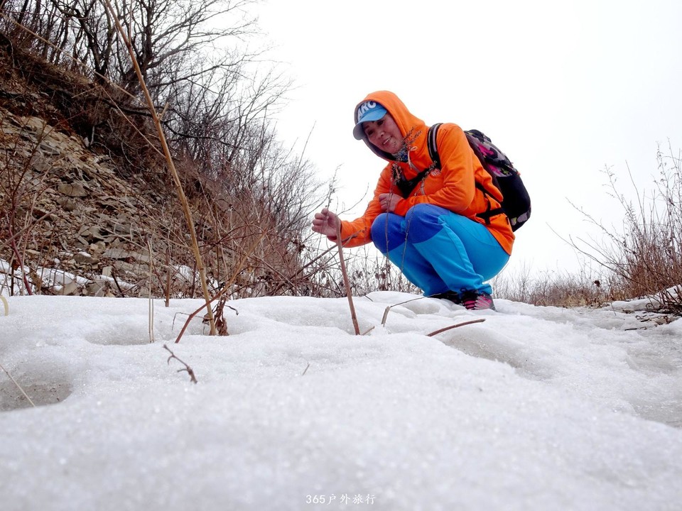 mmexport1552271914791