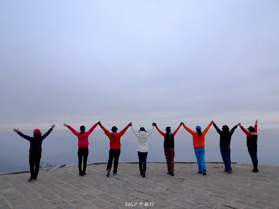 mmexport1552268060452