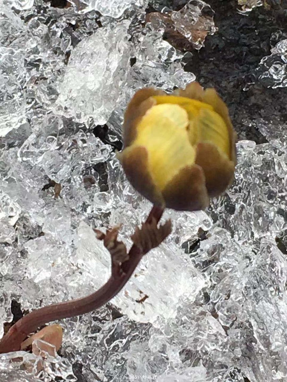 mmexport1552136502028