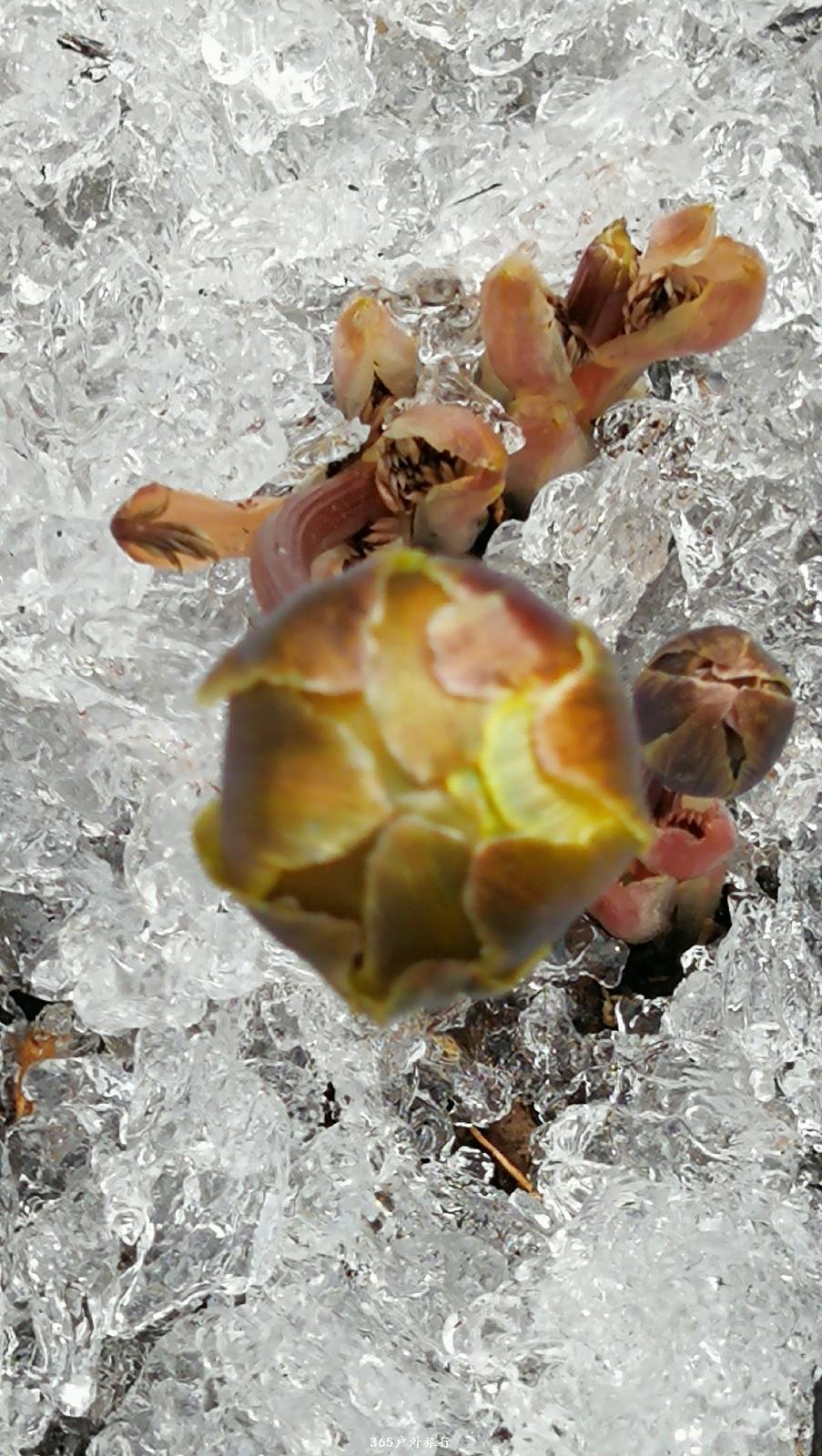 mmexport1552136528894