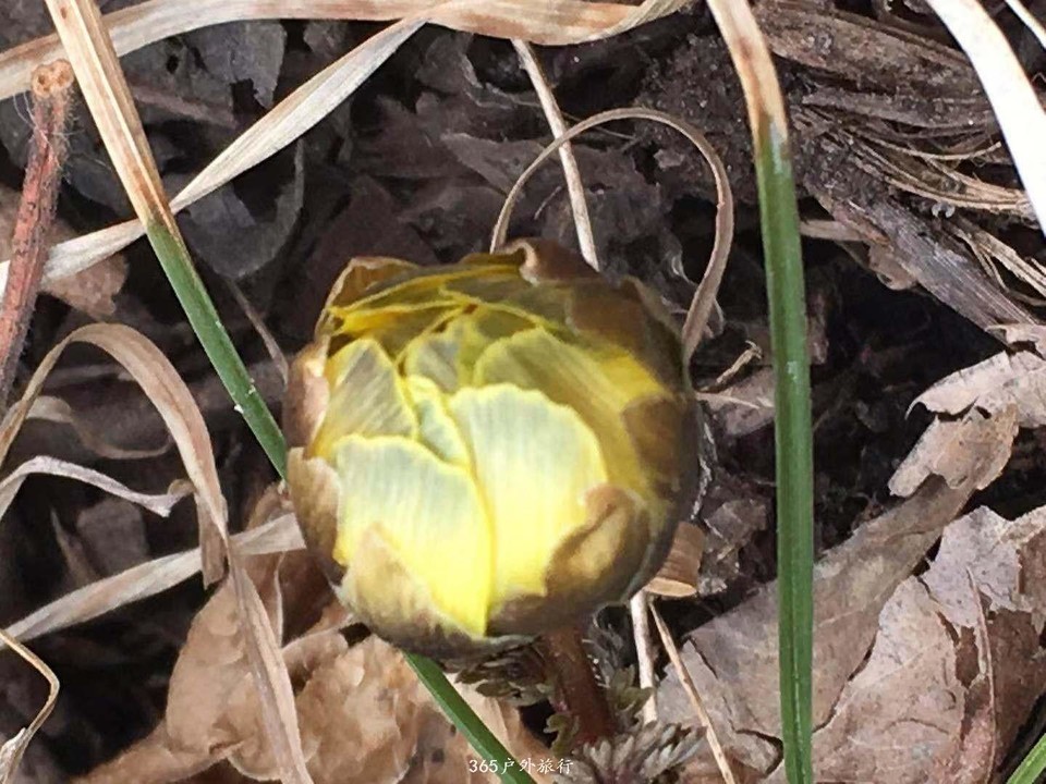 mmexport1552136561071