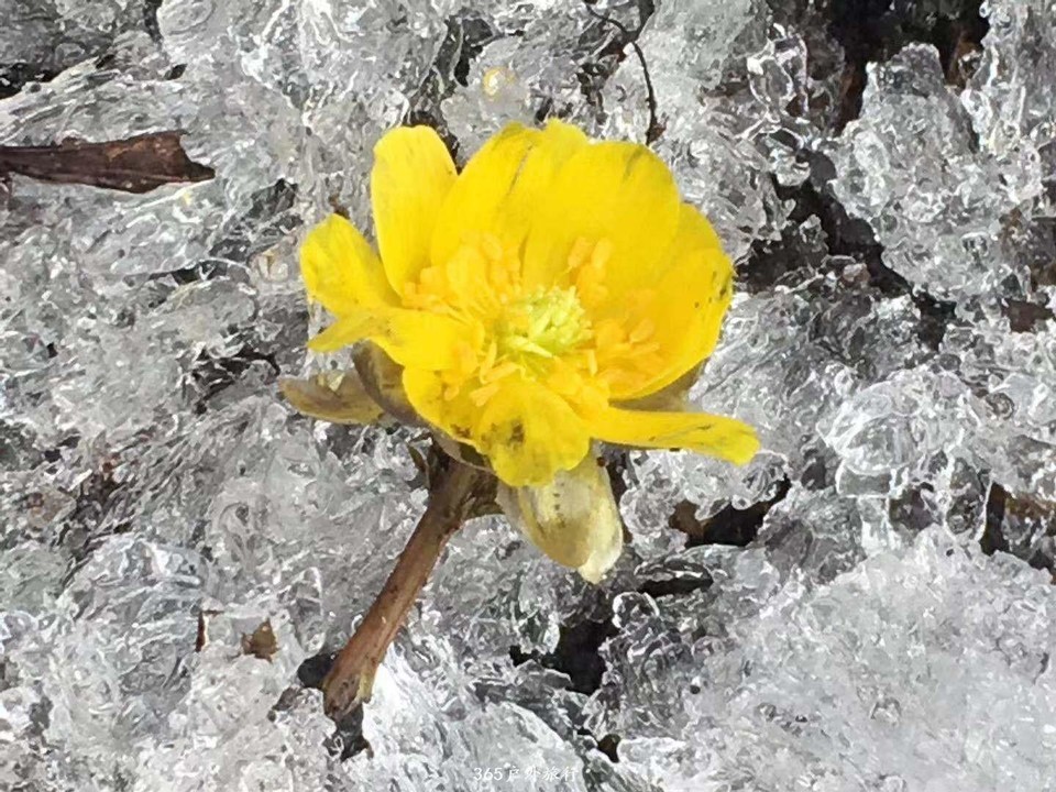 mmexport1552136407471