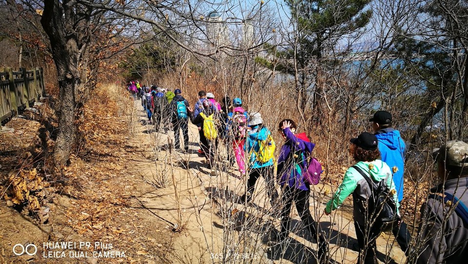 mmexport1552731077267