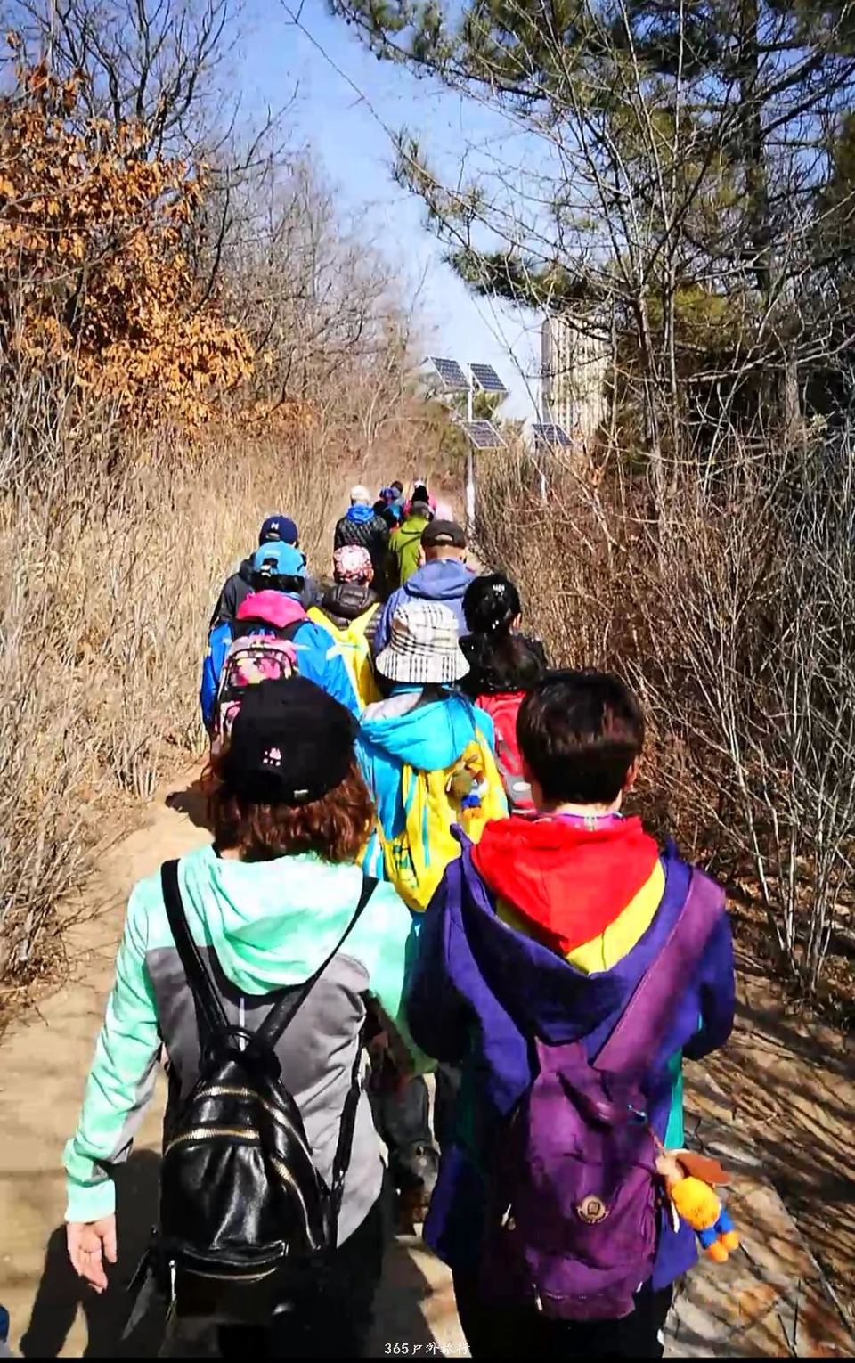 mmexport1552731065558