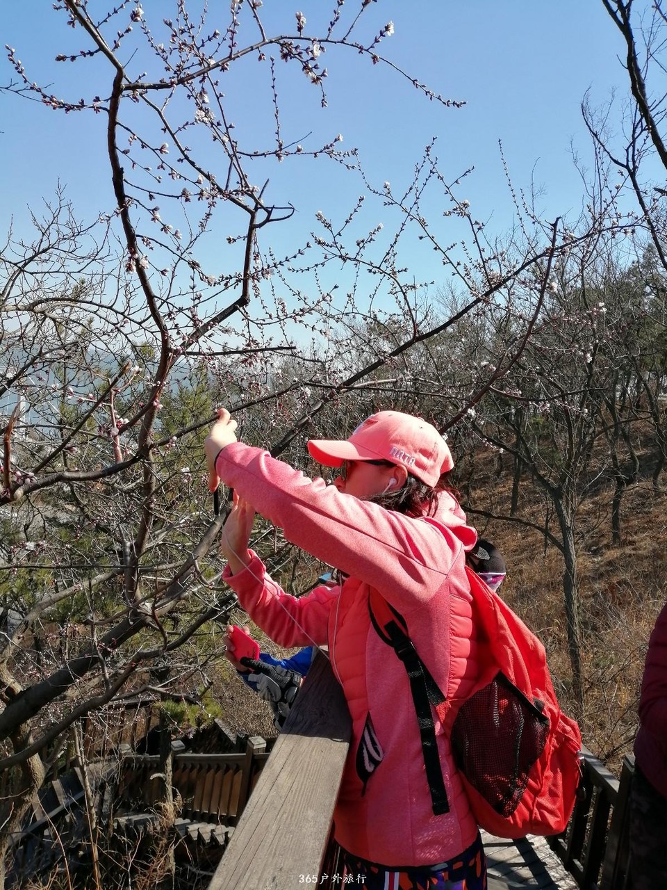 mmexport1553345408461