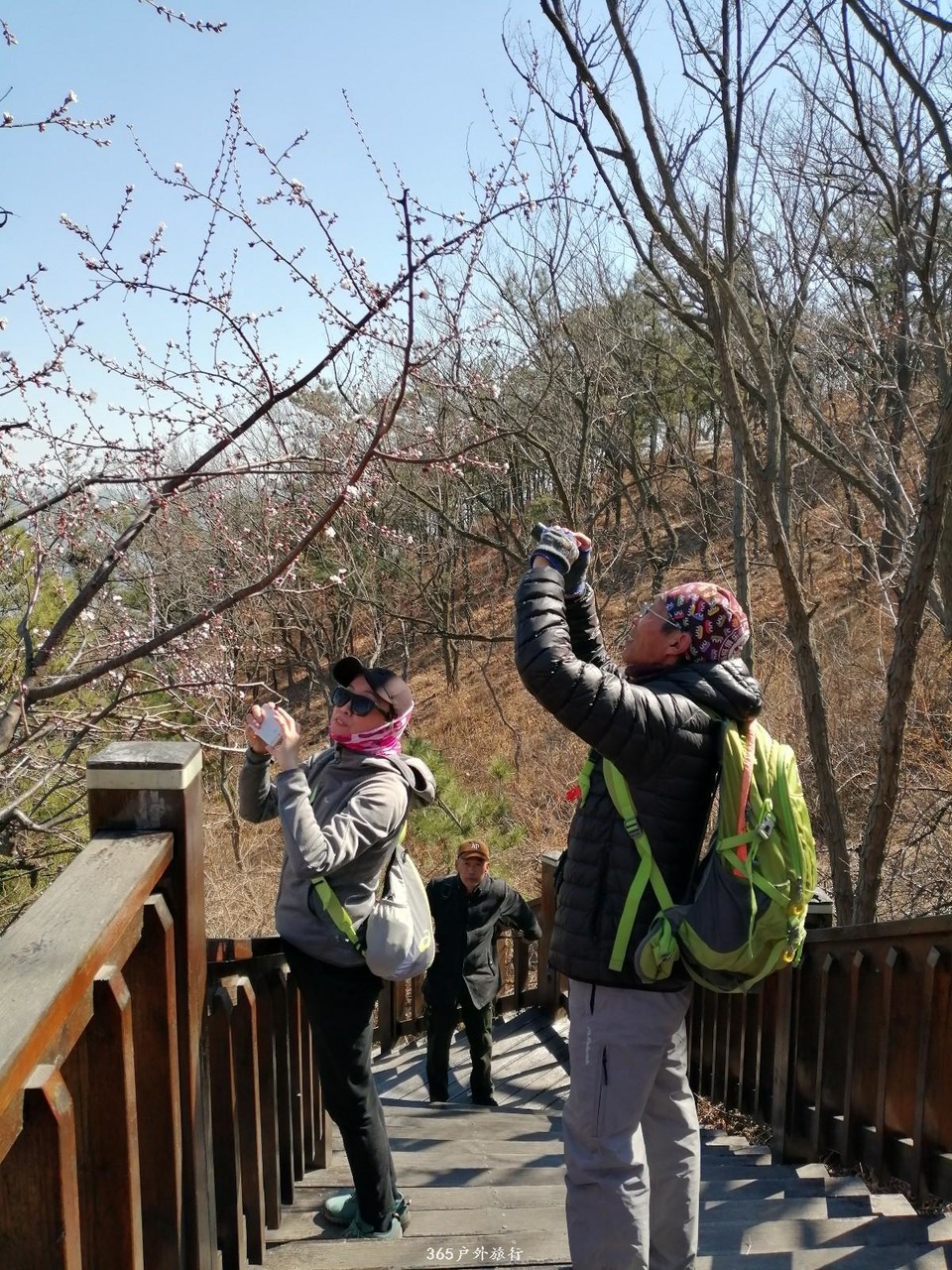 mmexport1553345112027