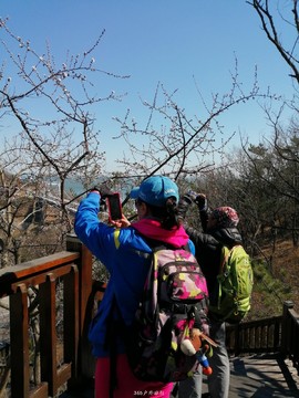 mmexport1553345121947