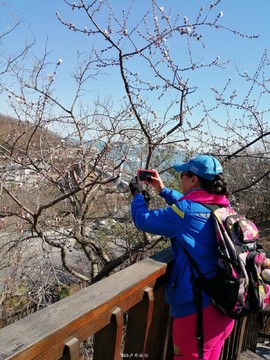 mmexport1553345131620