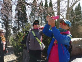 mmexport1553345141922