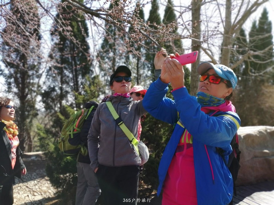 mmexport1553345141922