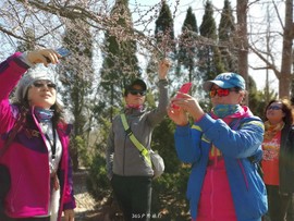 mmexport1553345151426