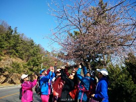 mmexport1553348514094