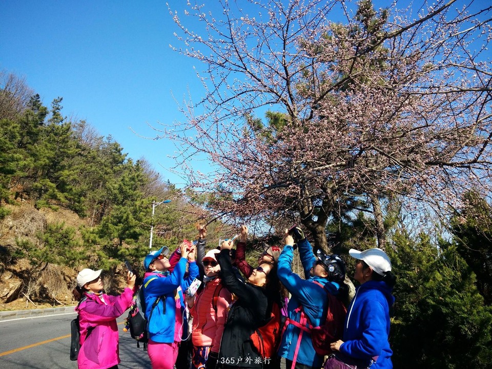 mmexport1553348514094