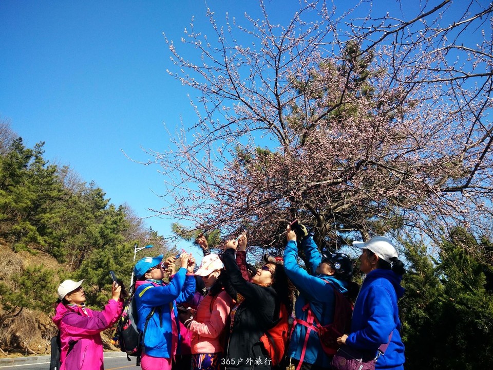 mmexport1553348501420