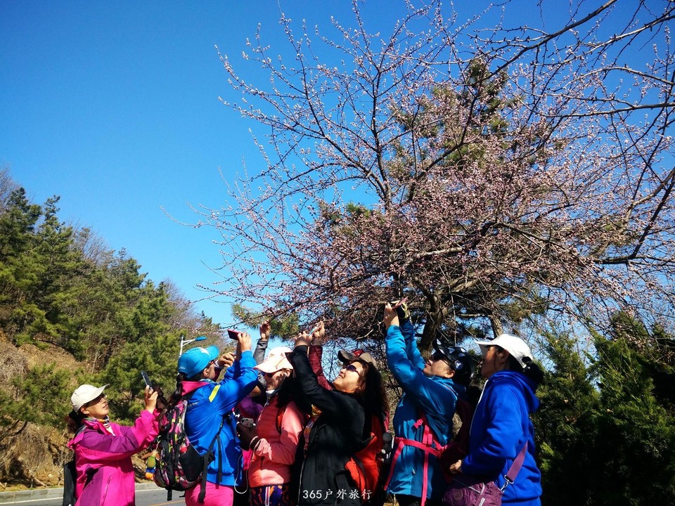 mmexport1553348489043