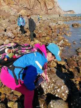 mmexport1553345335300