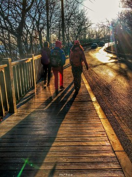 mmexport1553342433908