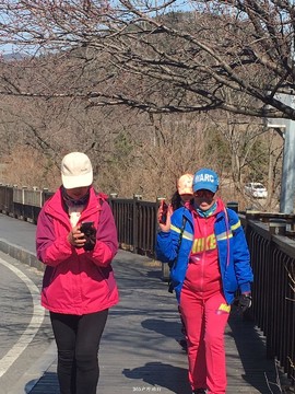 mmexport1553342032749