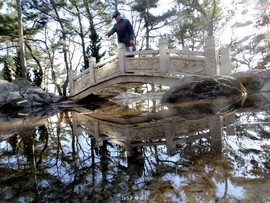 mmexport1553394664851