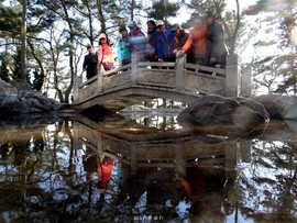 mmexport1553394738836