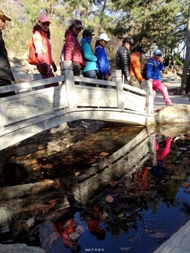 mmexport1553394925318