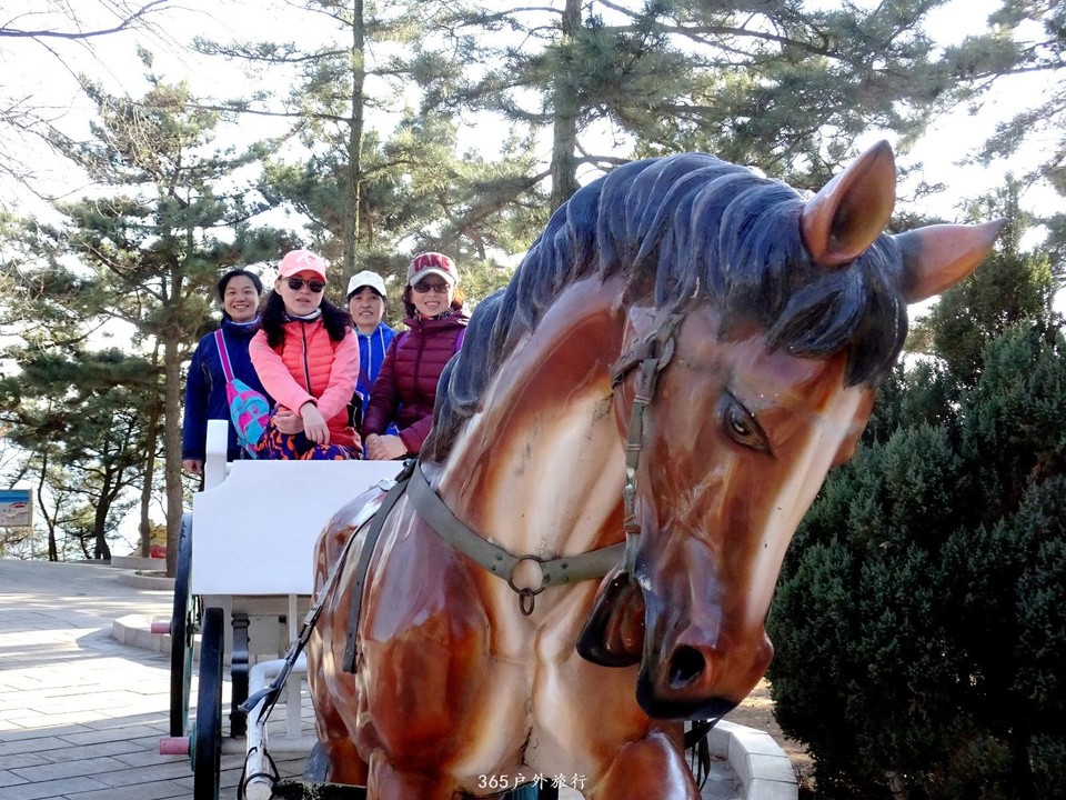 mmexport1553395005328