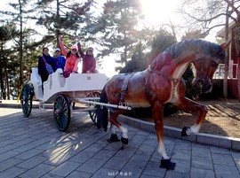 mmexport1553394987850