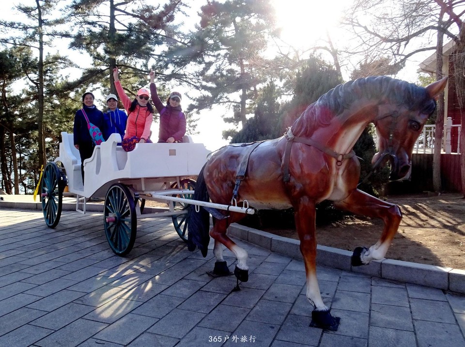 mmexport1553394987850