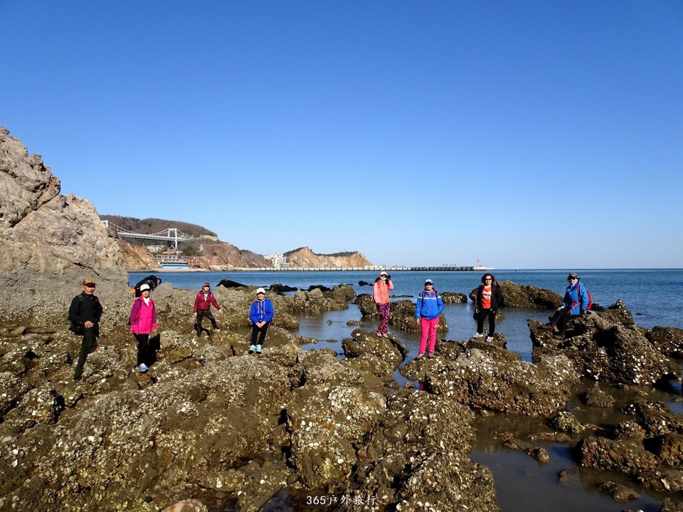 mmexport1553394409004