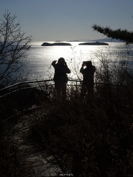 mmexport1553394525414