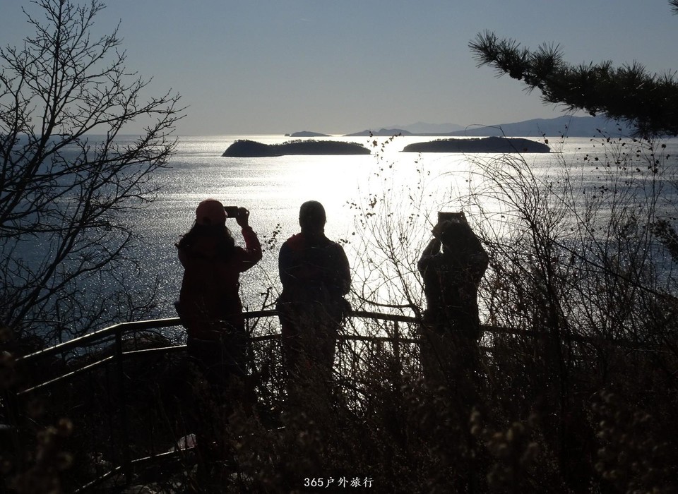 mmexport1553394543396