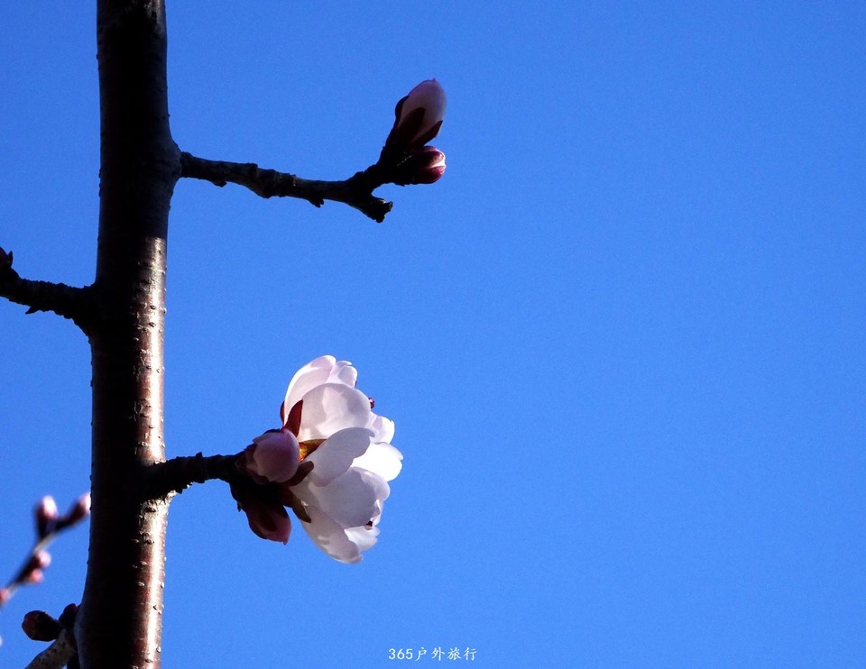 mmexport1553396022646