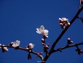 mmexport1553396042691