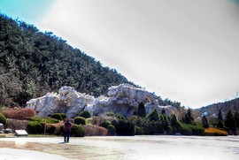 mmexport1553395902864