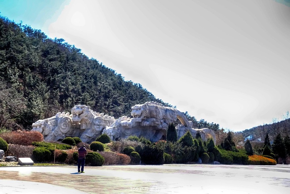 mmexport1553395902864