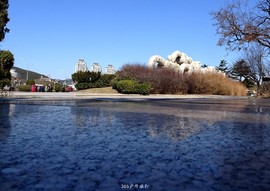 mmexport1553395916926