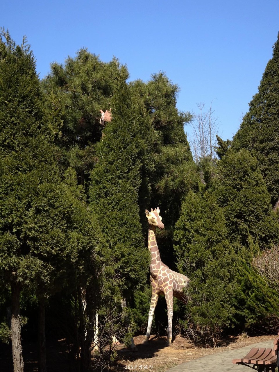 mmexport1553395928315