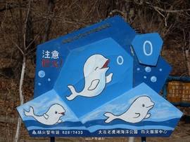 mmexport1553395946175