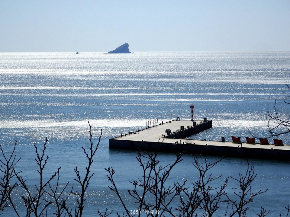 mmexport1553395976763