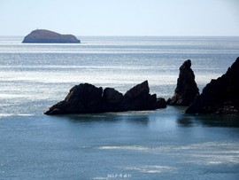 mmexport1553396009604