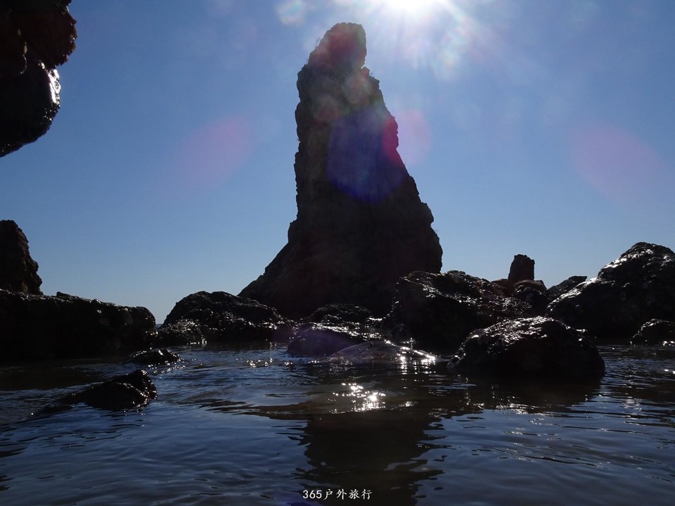 mmexport1553396052681